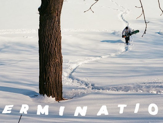 "Germination" by Trevor Newman
