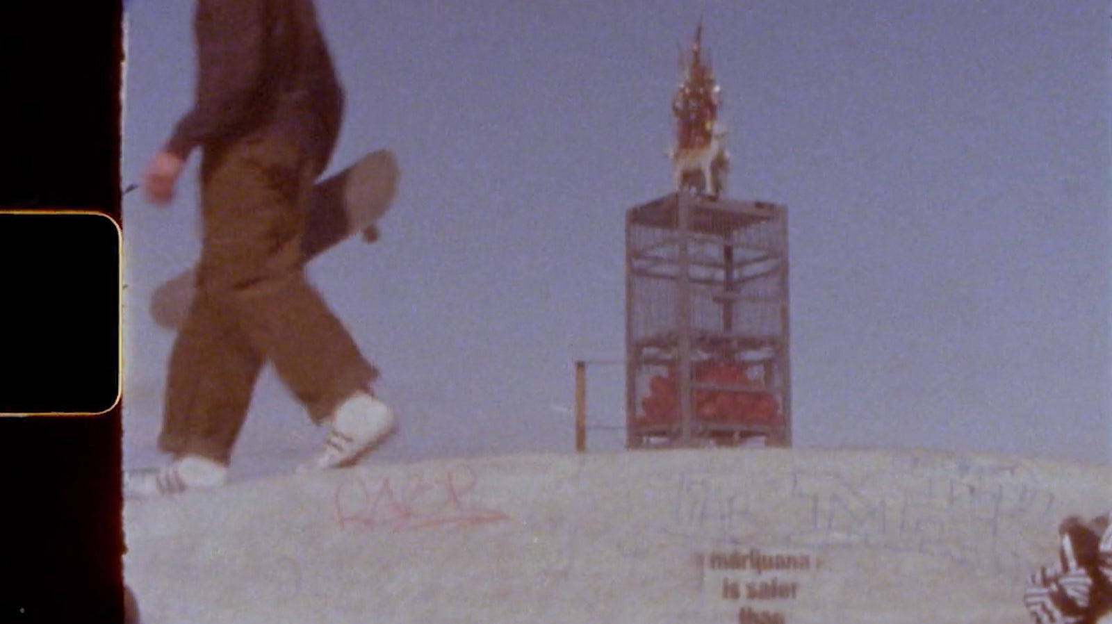 Solid Gold by Trevor Newman