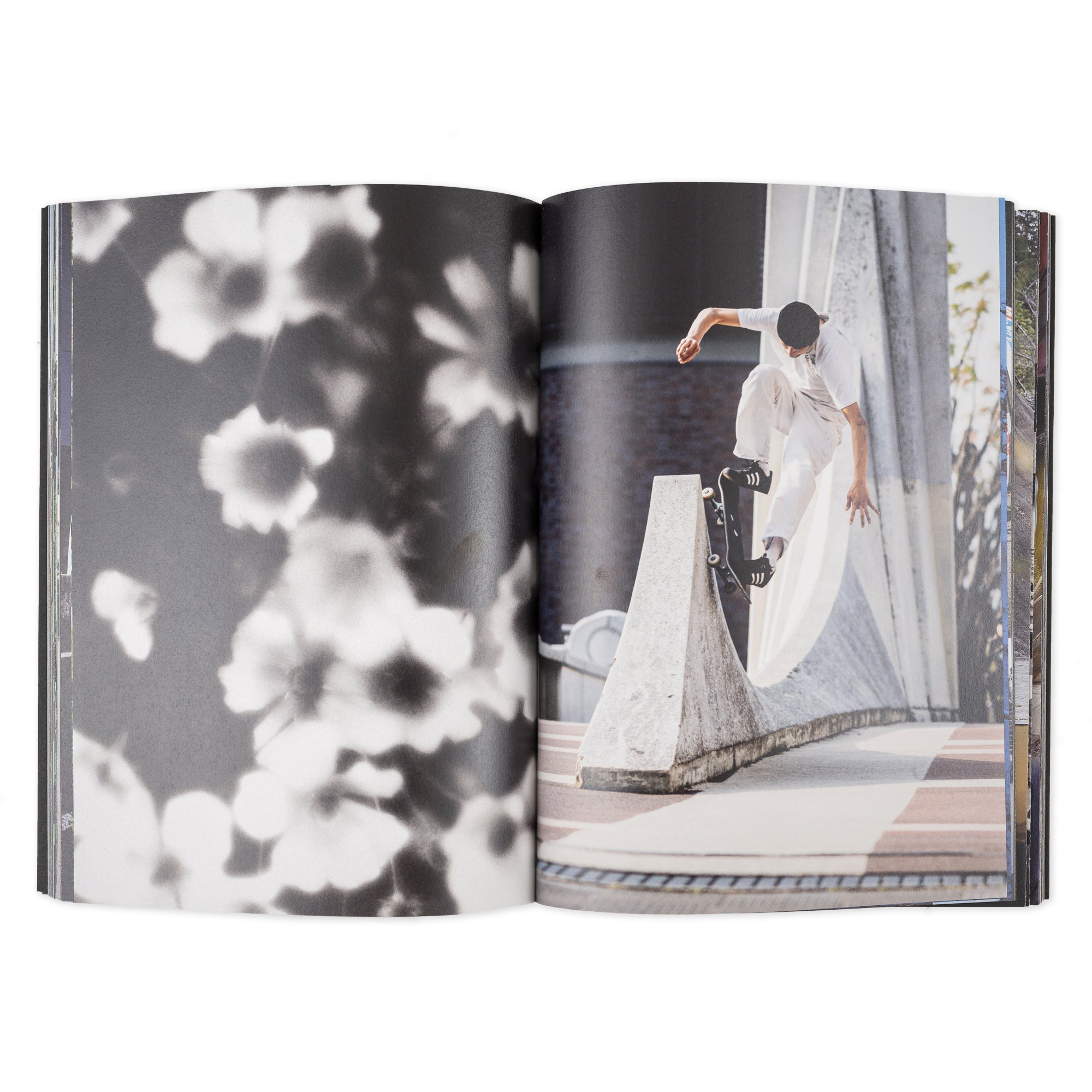 Polar Everything Is Normal Book - People Skate and Snowboard