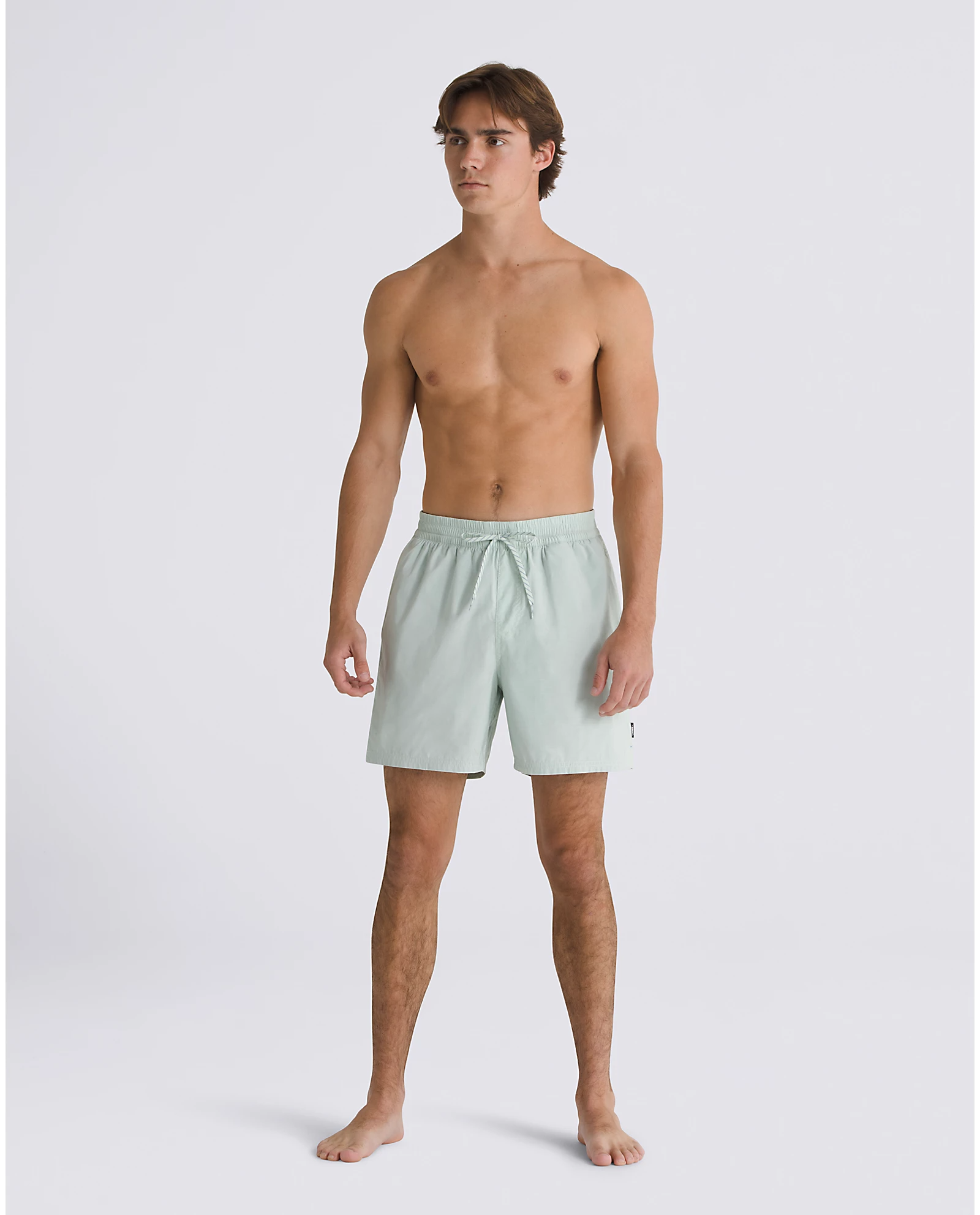 Vans Primary Solid Elastic 19" Boardshorts - People Skate and Snowboard