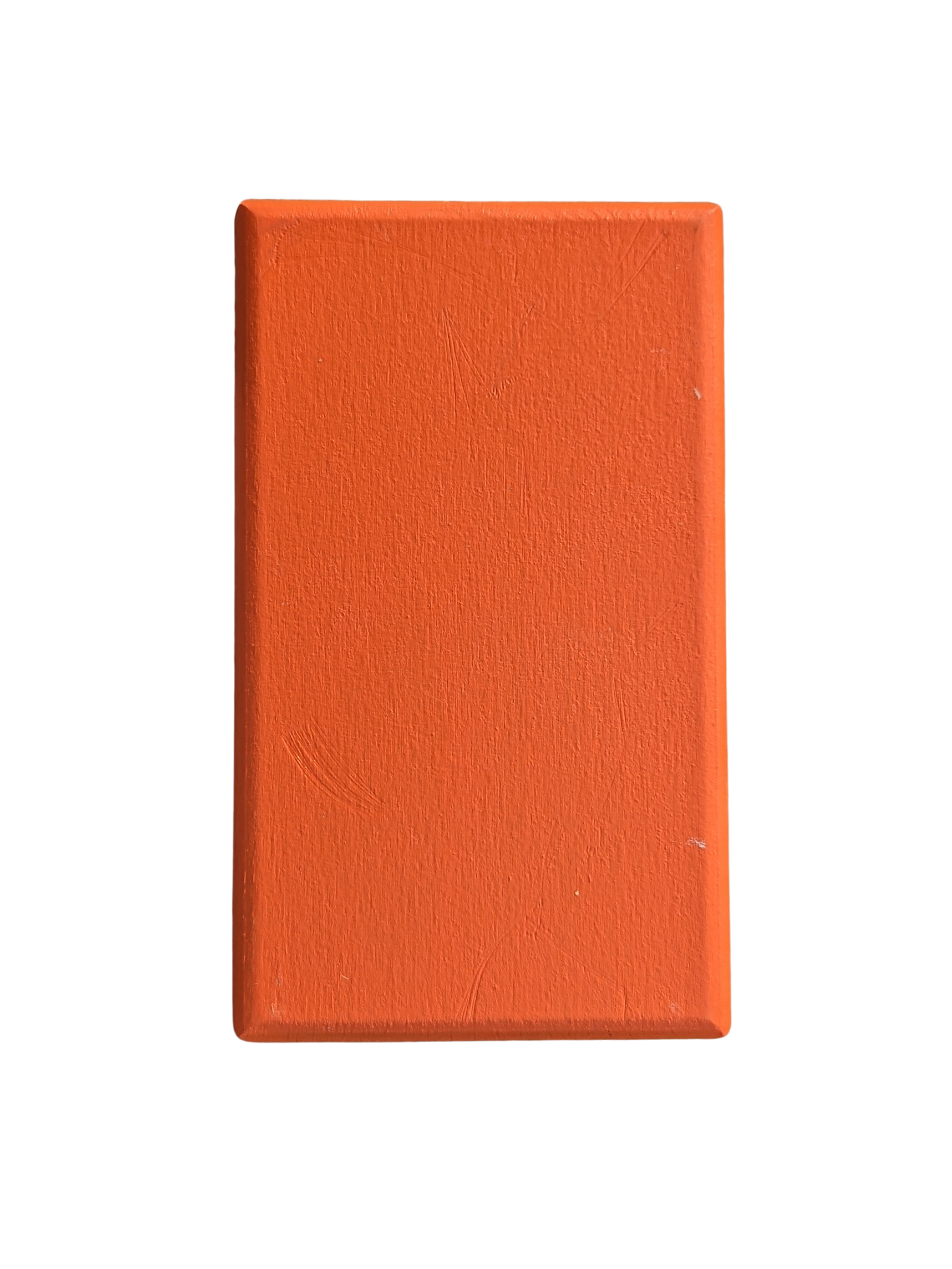 FK SKS Nylon Structure Brush - People Skate and Snowboard