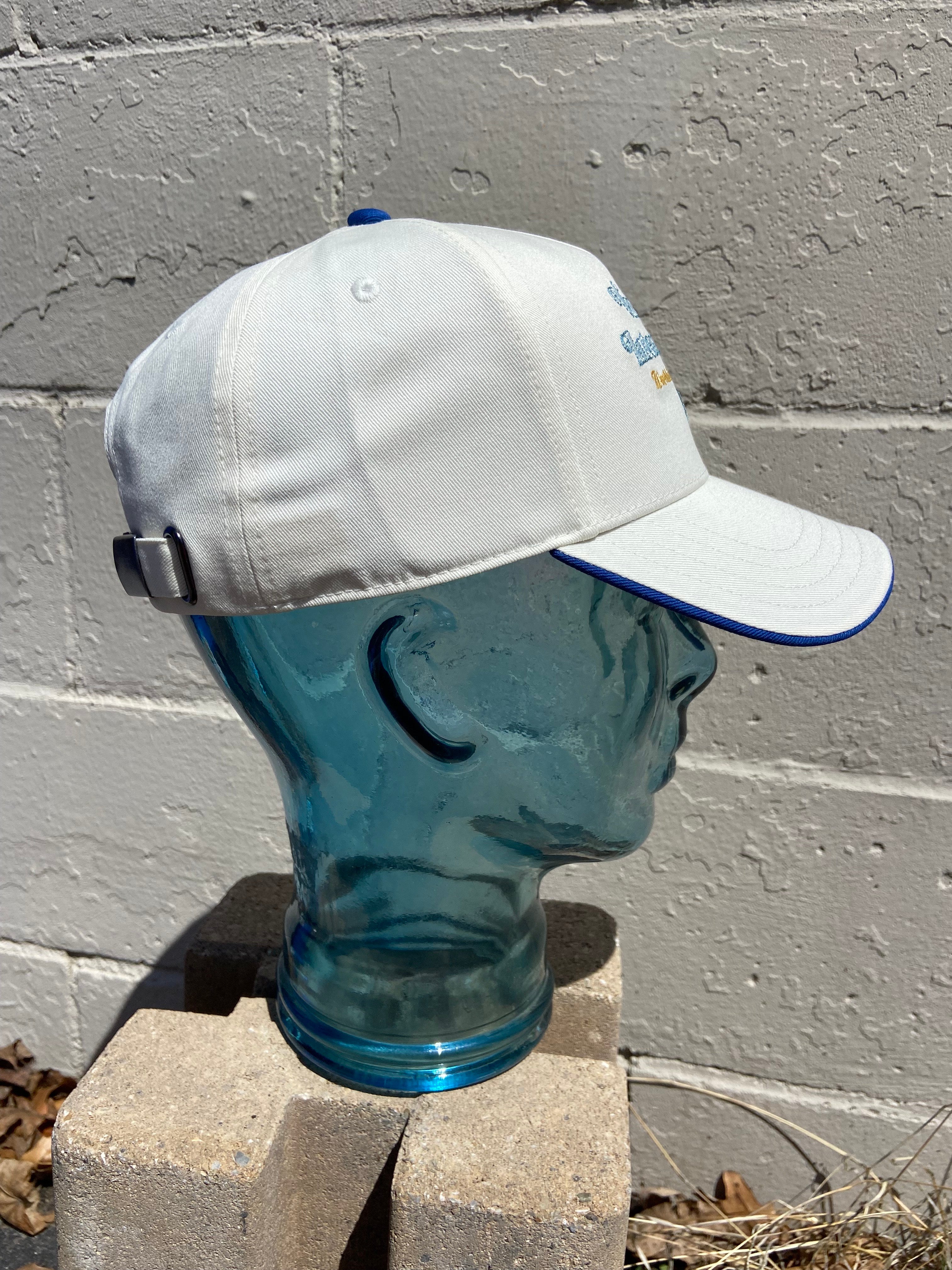 Vans Classic Strapback hat - People Skate and Snowboard