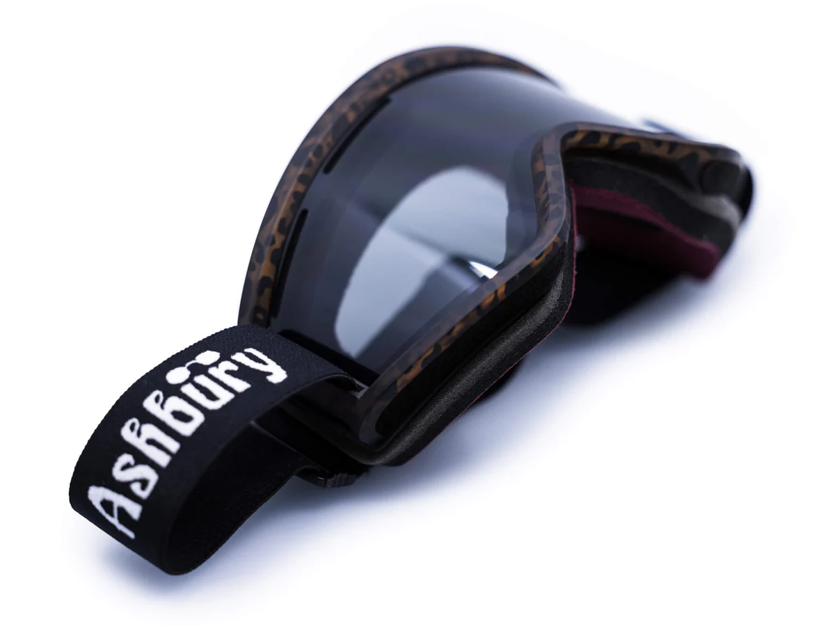 Ashbury Blackbird Goggles - People Skate and Snowboard