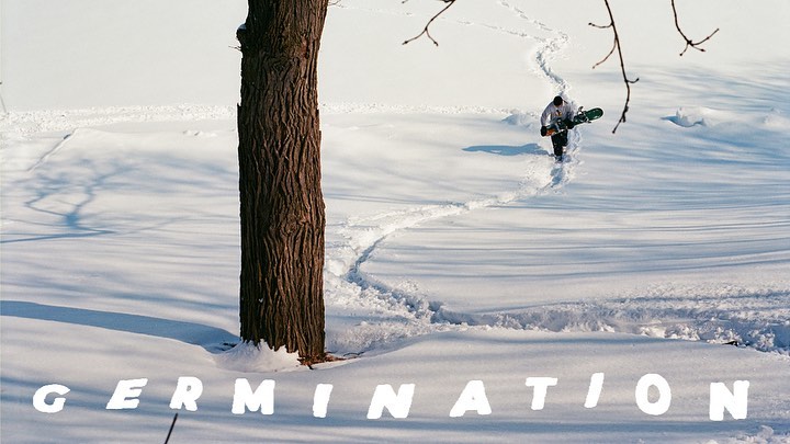 "Germination" by Trevor Newman