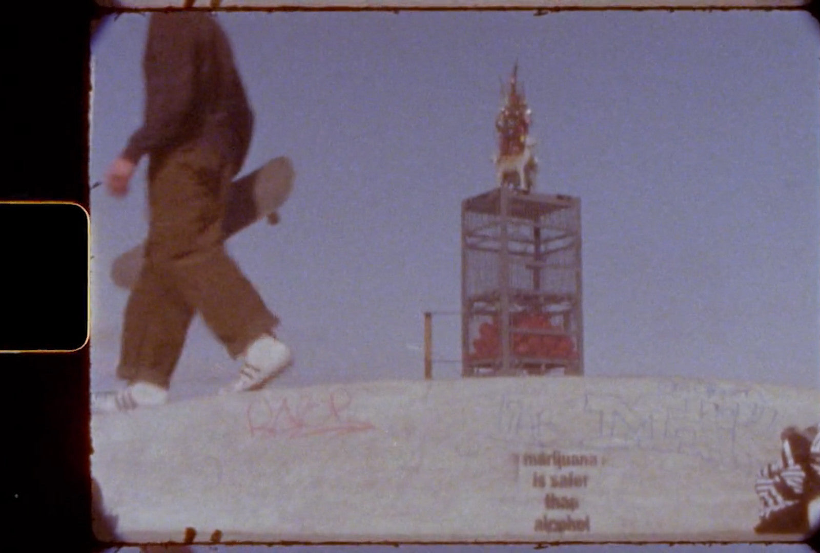 Solid Gold by Trevor Newman