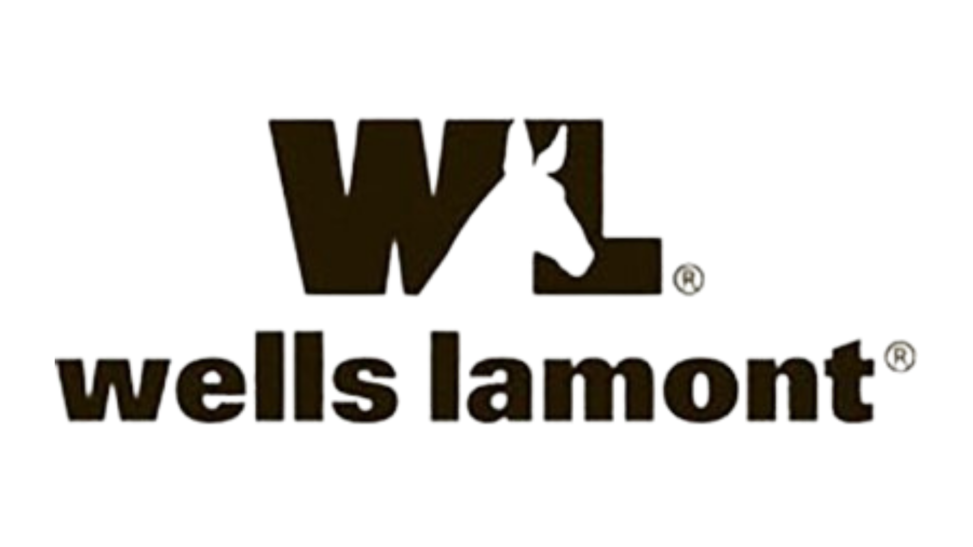 Wells Lamont Snow