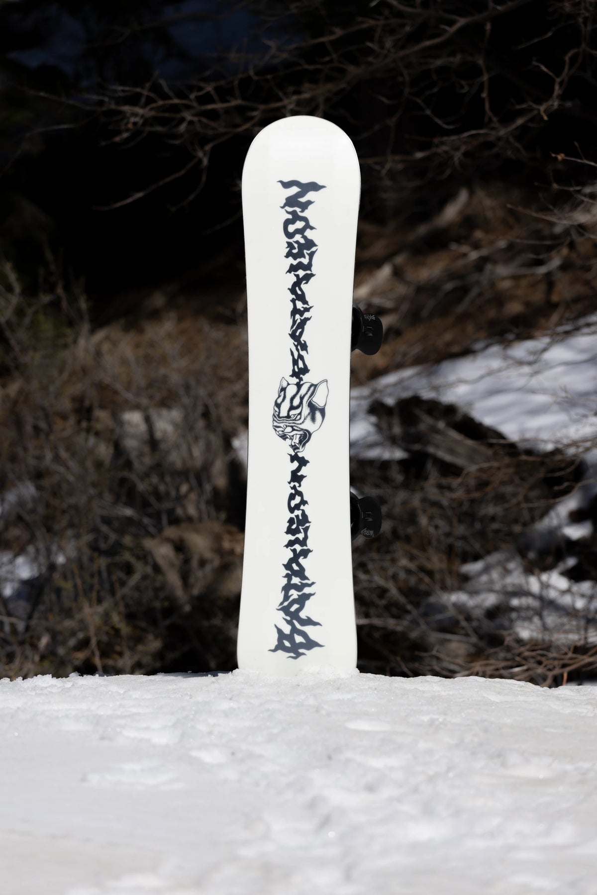 Bataleon Women's Disaster snowboard on snow with mountain background, showcasing the snowboard's design and vibrant colors.