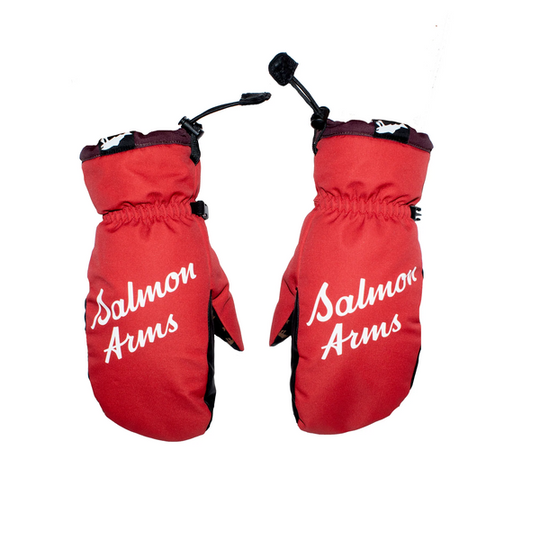 Salmon Arms Team Mitt Nortons - People Skate and Snowboard