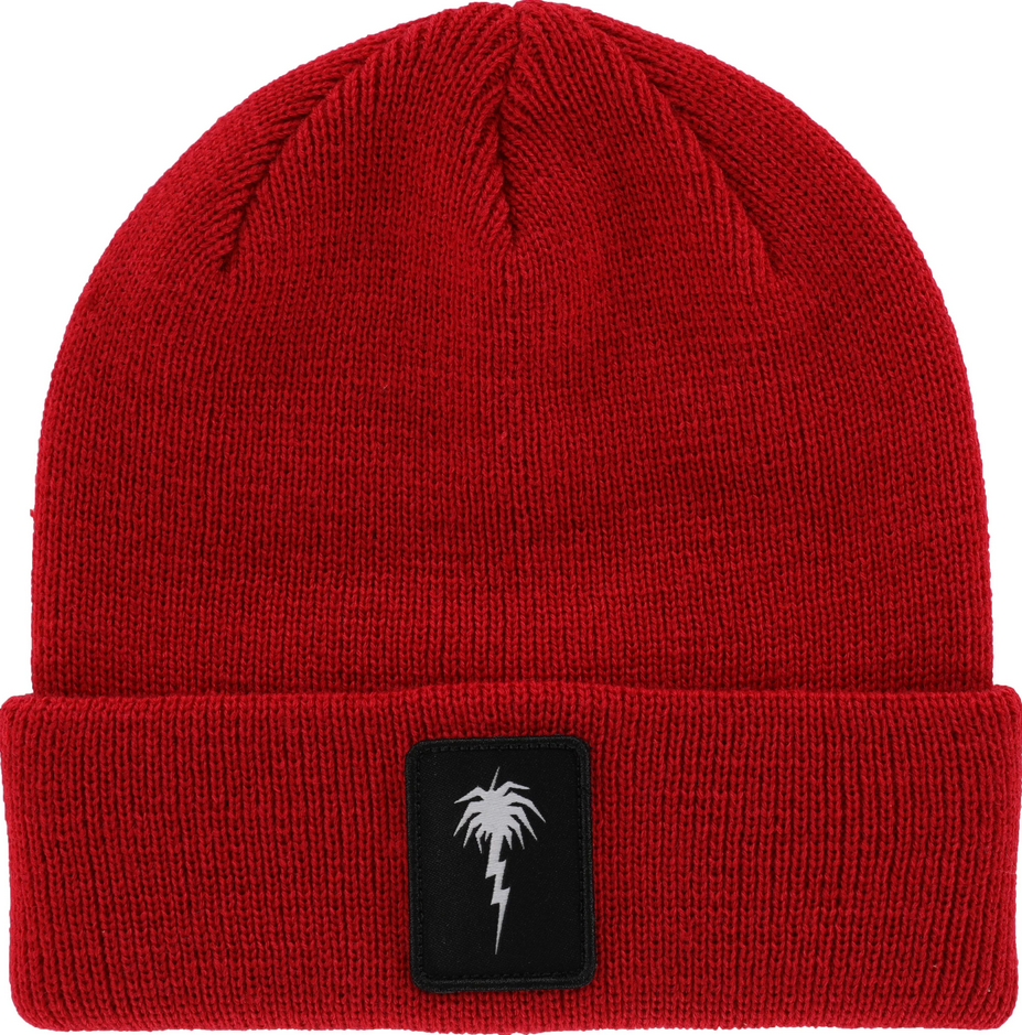 Spring Break Palm Beanie - People Skate and Snowboard