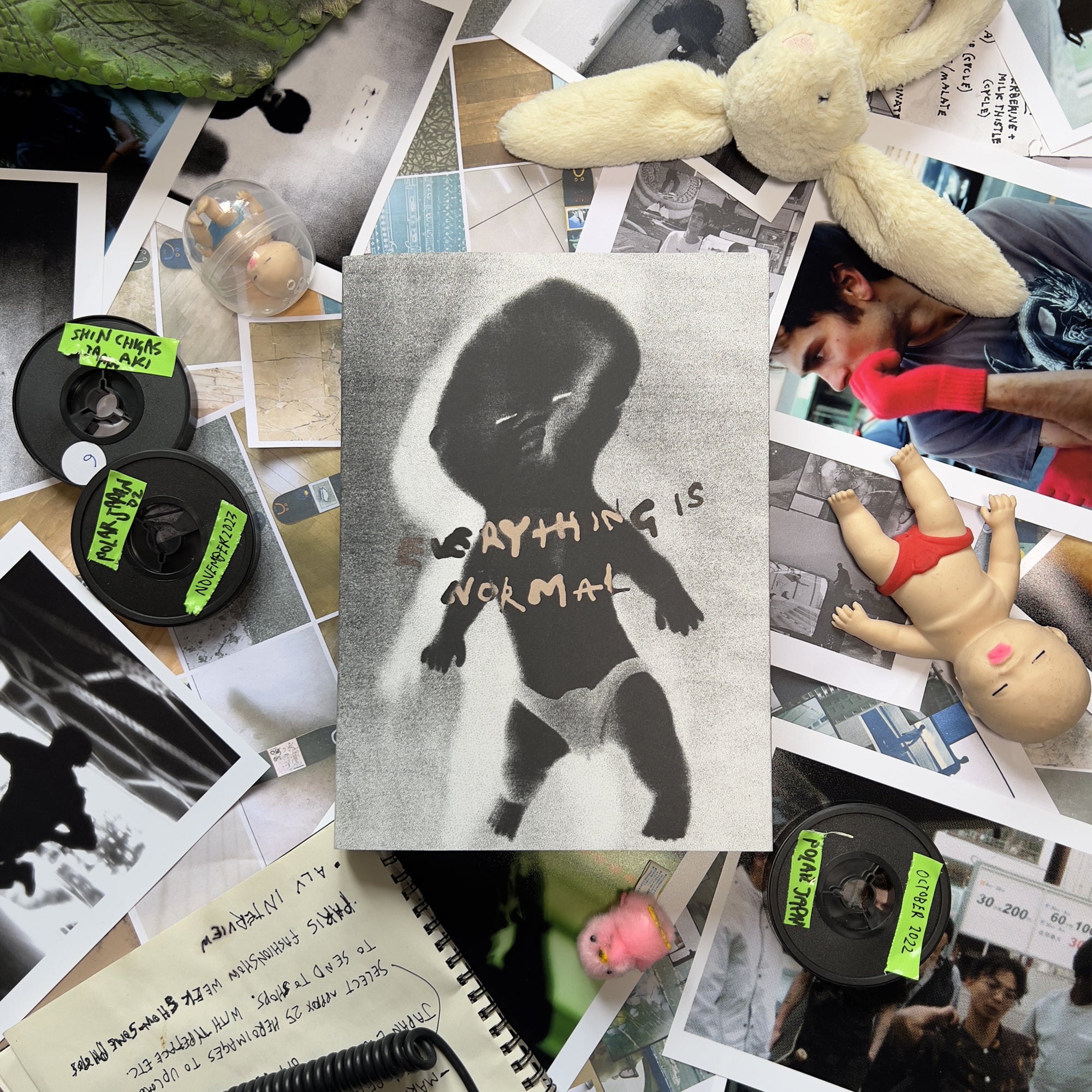 Polar Everything Is Normal Book - People Skate and Snowboard