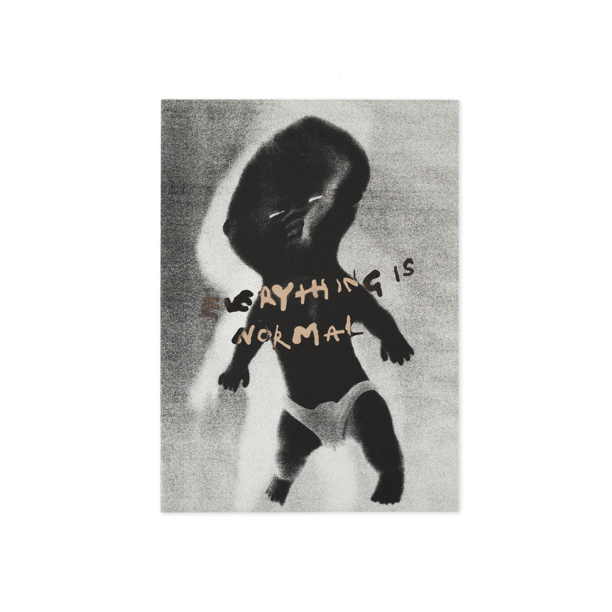 Polar Everything Is Normal Book - People Skate and Snowboard