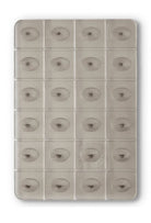 Crab Grab Shark Teeth Stomp Pad - People Skate and Snowboard